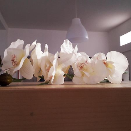 Sadinahome 세투발 외부 사진